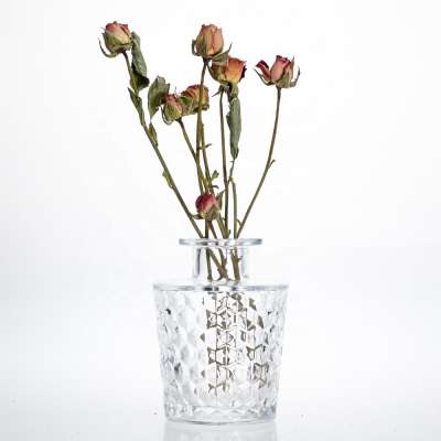 European Table Vase Water Planting Embossed Glass Flower Vase  Modern Glass Vase